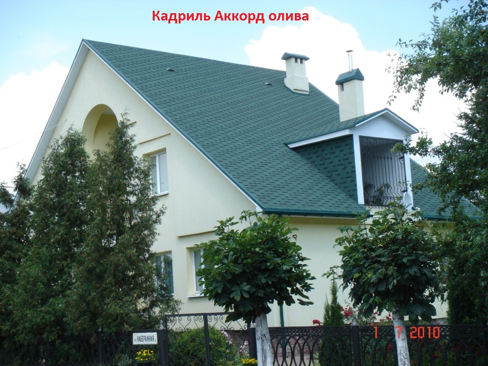 kadril_akkord_oliva