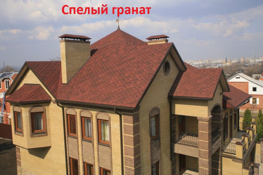 akc_spelgran