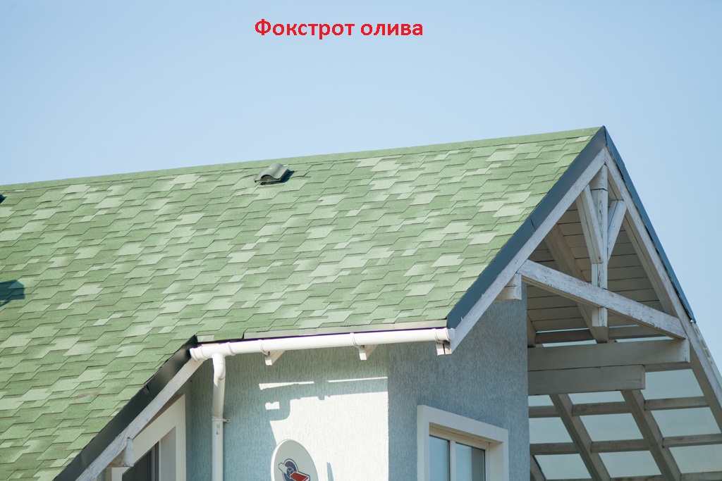 foxtrot_oliva