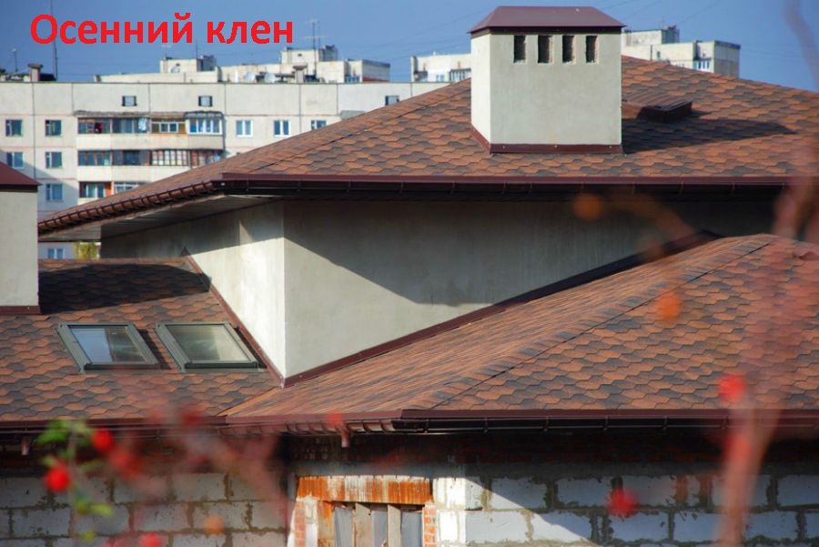 moz_osenklen